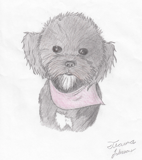 Drawings: Tianna's drawing