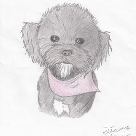 Drawings: Tianna's drawing